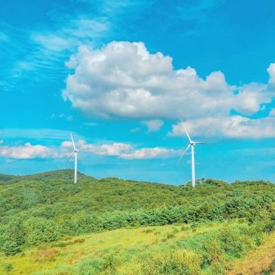 妖神鉴官方正版下载