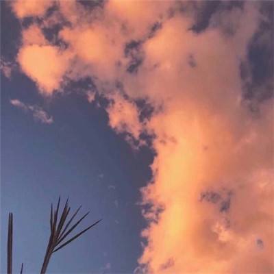 修仙战记手游下载